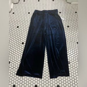 NWT Harper wren polyester velour pants size small